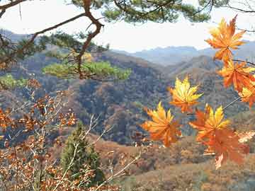 最新冠肺炎的发展趋势和未来风险：从卫生防控到经济和社会影响