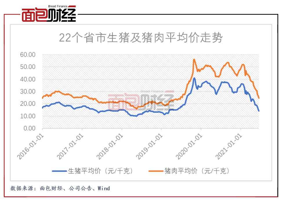 生猪价格今日分析：市场波动与未来走势预测