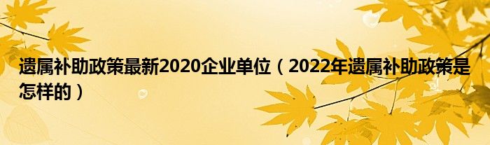 遗属补助政策最新解读：覆盖范围、申请流程及未来展望