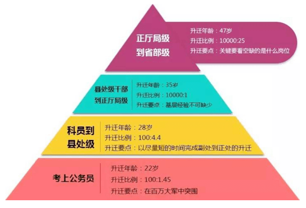 华亭王宁宁最新职务：履新后的挑战与机遇