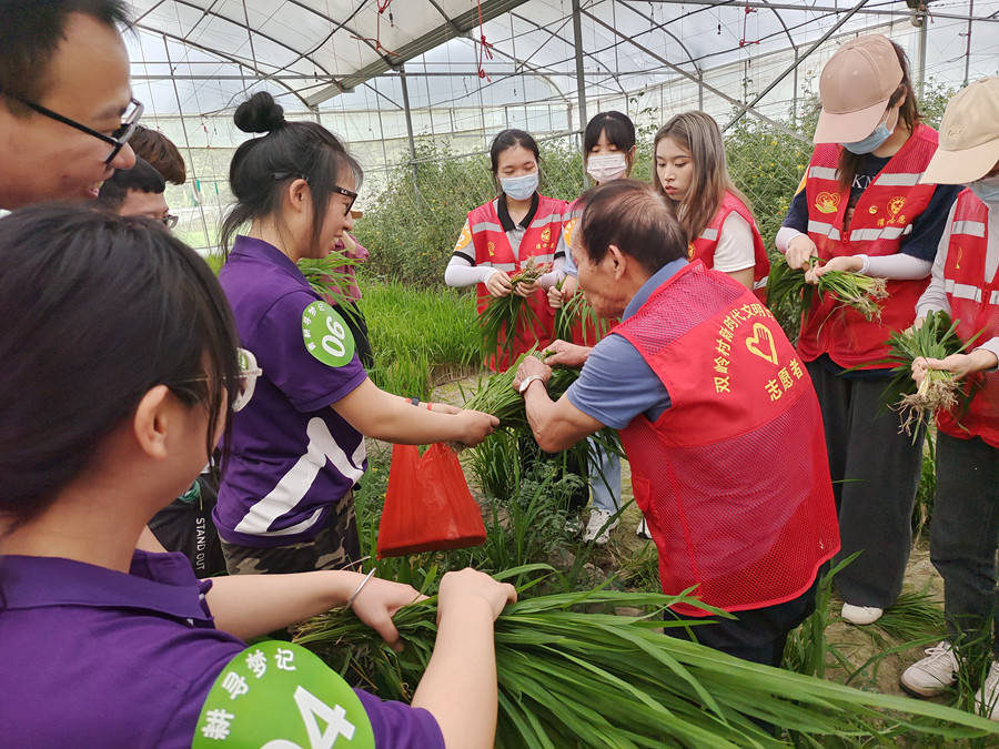 厦门灌口招工最新信息：岗位需求、薪资待遇及求职技巧全解析