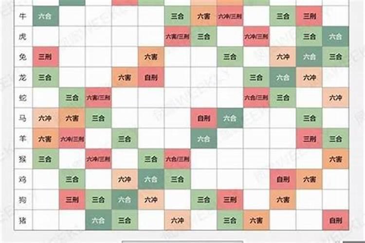 今日生肖相冲查询：精确原则和实际应用解析