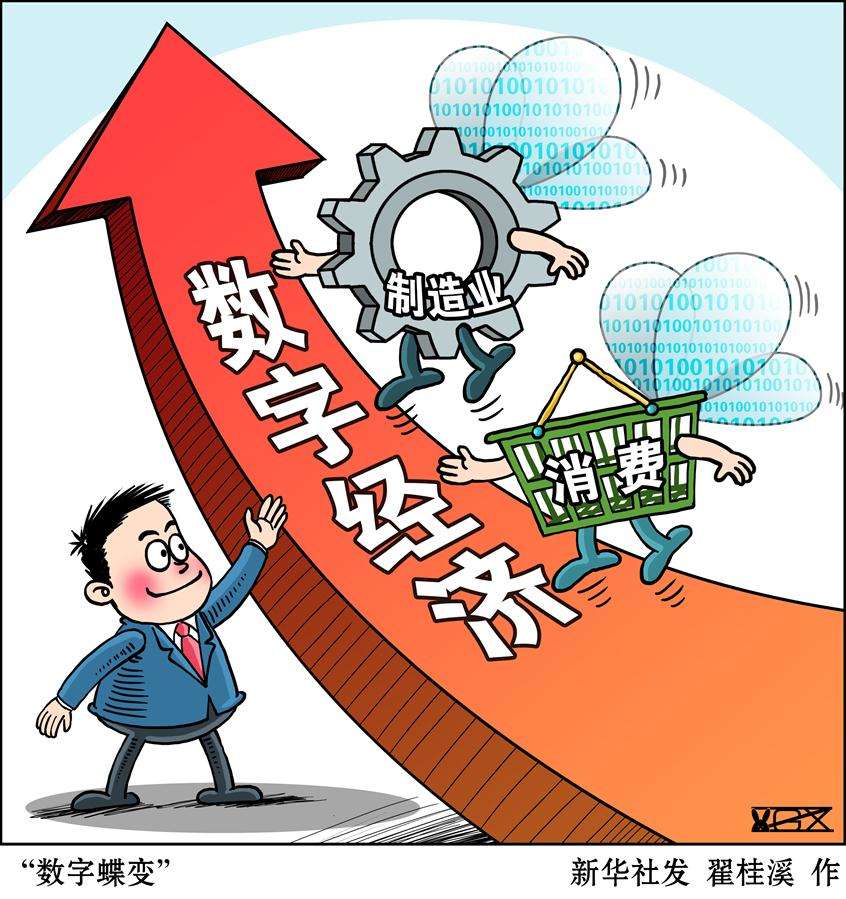 洞悉最新连接：技术、经济与社会变革下的网络连接现状与未来趋势