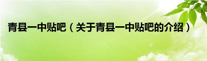 青县贴吧最新消息：深度解读与未来趋势分析