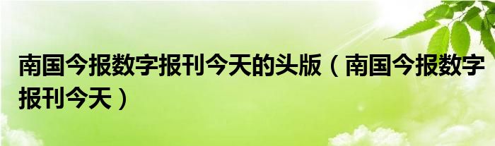 柳州南国今报今日头版深度解读：内容分析、社会影响及未来展望