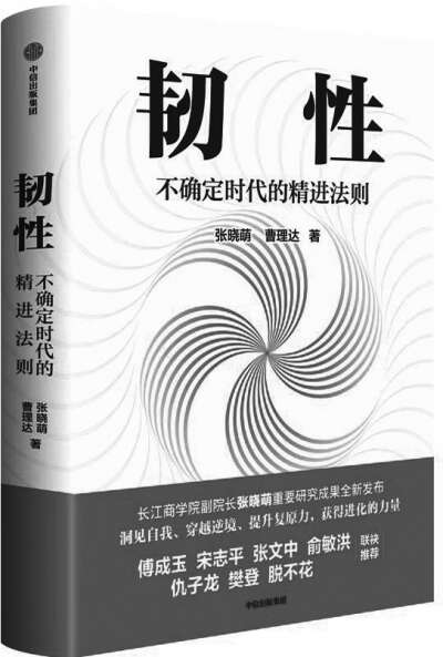 韧性：在挫折中崛起的力量——探析逆境中的自我超越