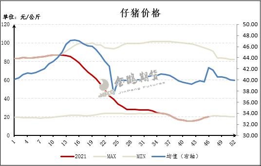 仔猪价格今日猪价：市场行情深度解析及未来走势预测