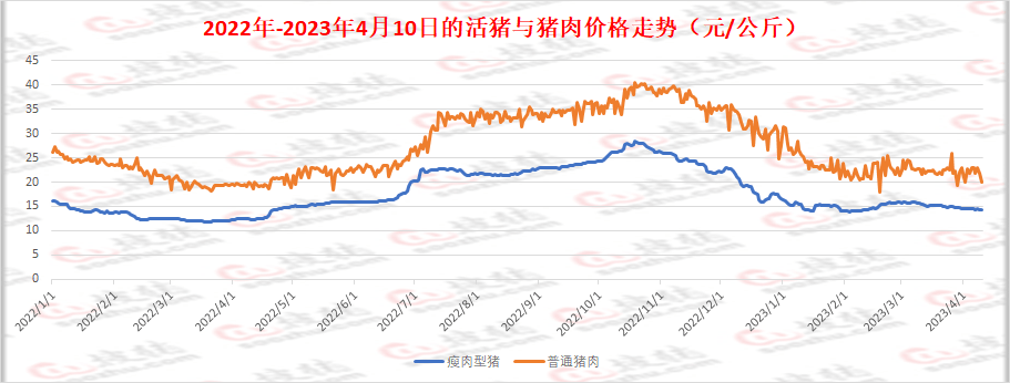 今日全国猪价格表：分析影响因素和个性区域价格差异