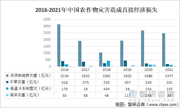 非洲猪瘟最新进展：防控策略升级与未来挑战