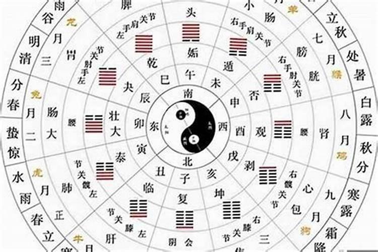 今日天干地支是什么？详细解释和实际应用