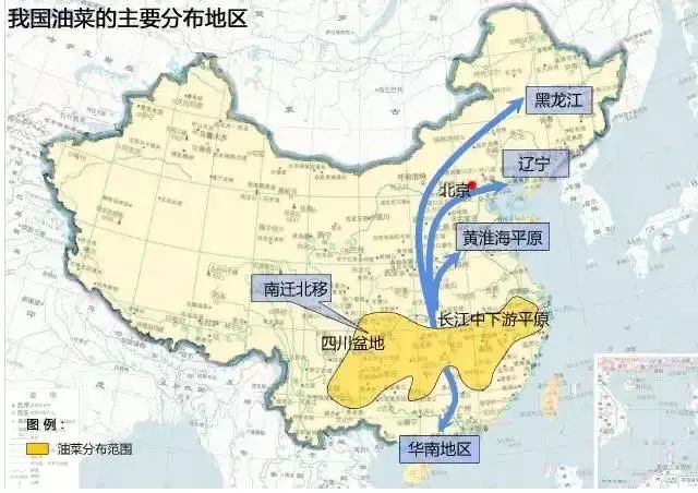 柳枚油最新价格分析：影响因素、市场趋势及中国柳枚油行业发展