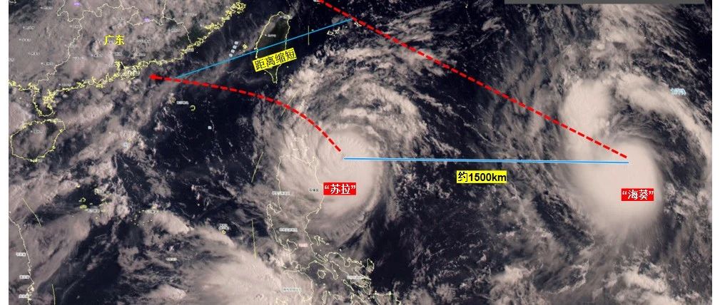 江门台风最新消息：风雨影响及城市应对策略深度解析