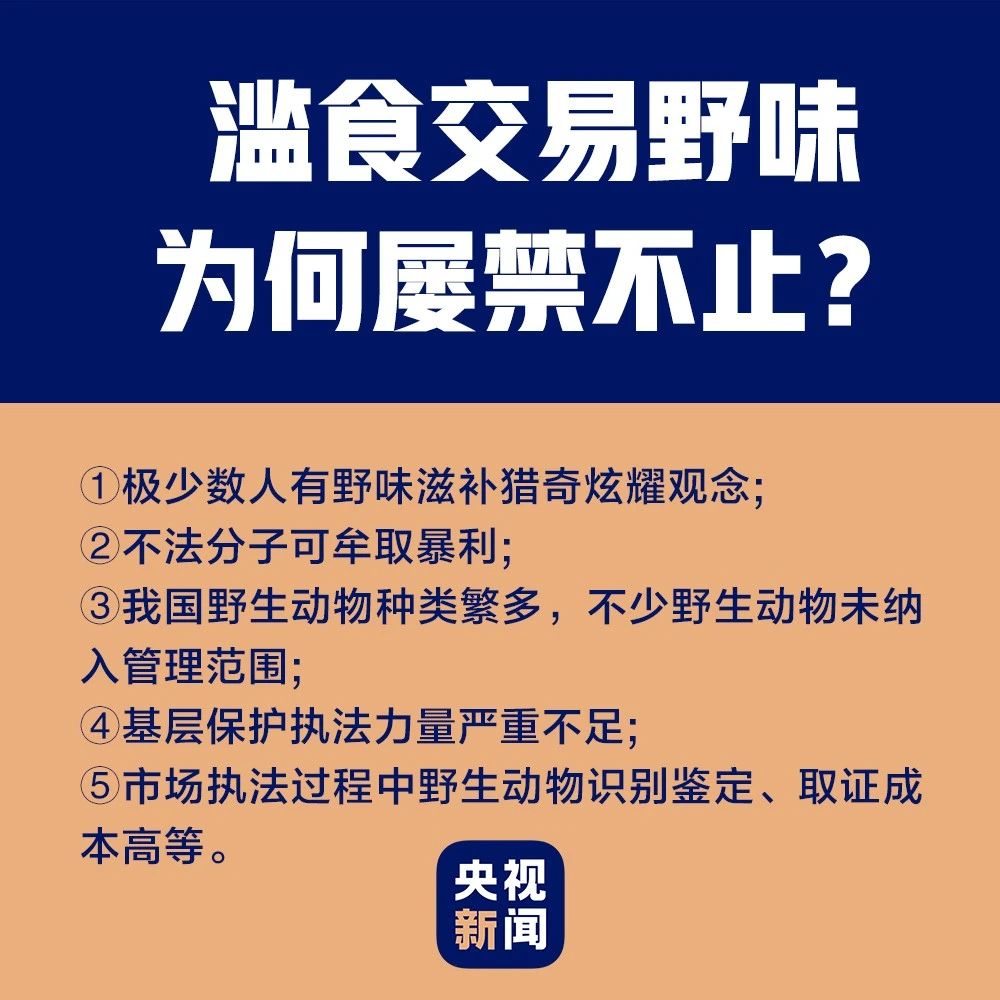 深度解读：2024年最新禁食目录，哪些食物需要谨慎食用？