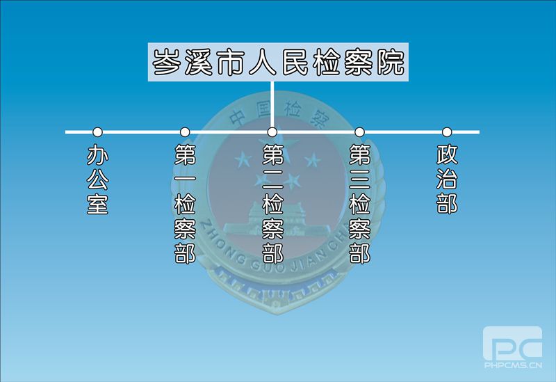 岑溪市检察院最新查案：深入剖析案件类型及社会影响