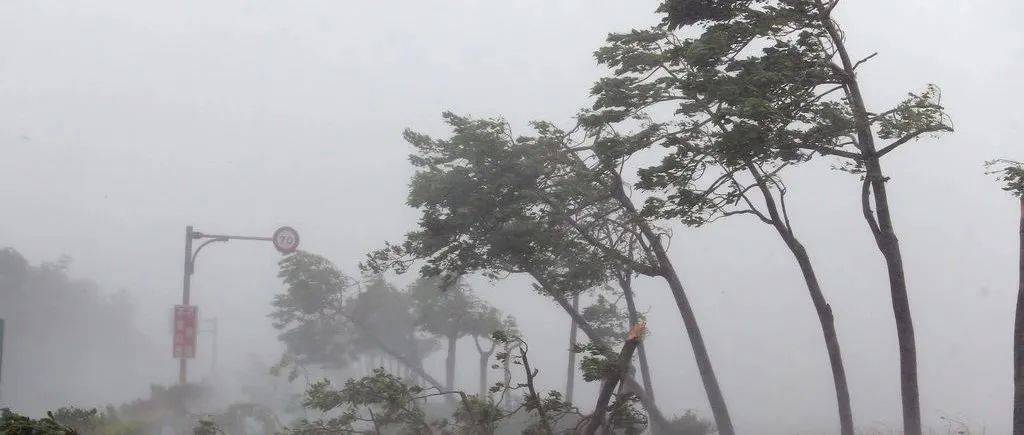 澳门台风帕卡最新消息：风雨来袭，澳门应对策略及未来防范