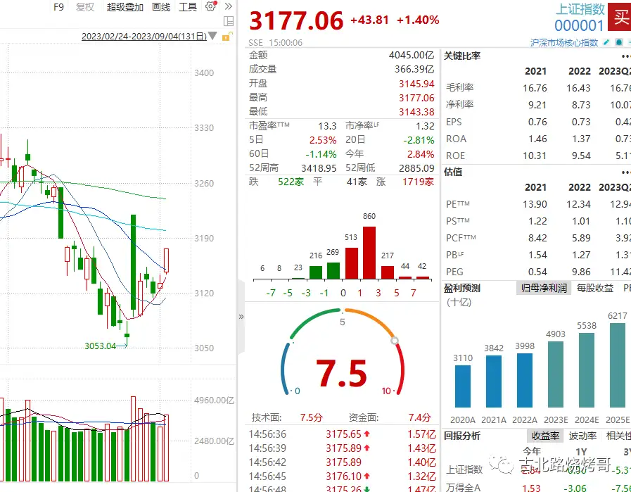 深度解析：最新天天she的现状、挑战与未来发展趋势