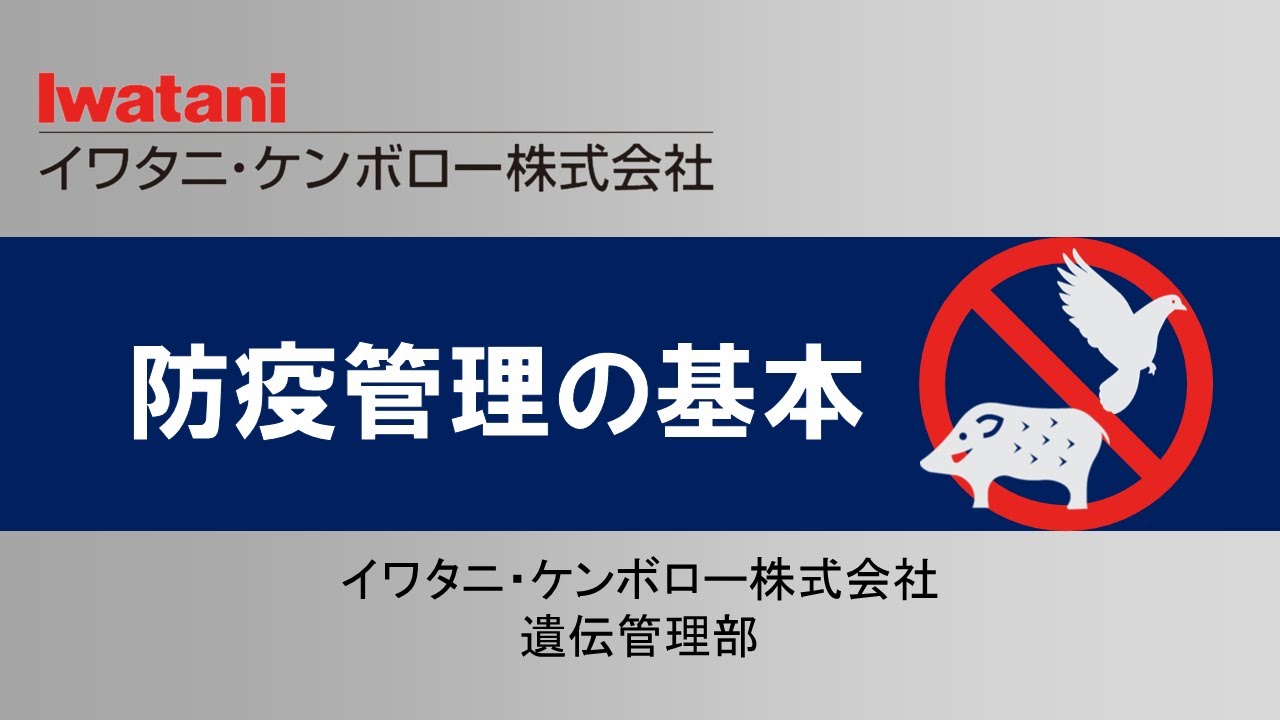 病毒最新扩散态势及影响：深度解析全球疫情发展趋势与防控策略