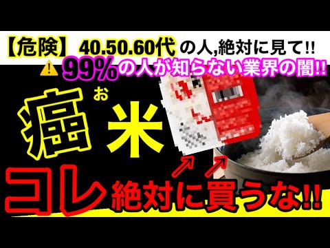 微米富最新动态：技术革新、市场前景及潜在风险深度解析