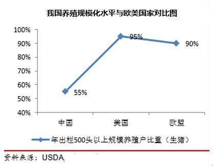 拉伸最新标准详解：规范解读与未来趋势预测