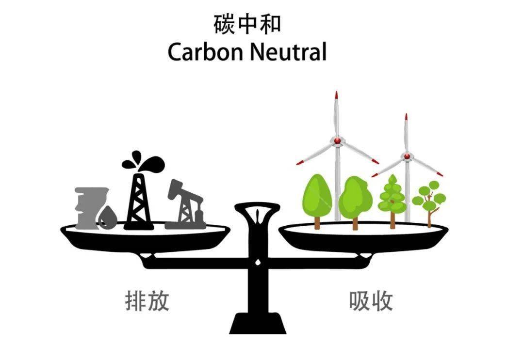 TOP最新：解码热门趋势，洞察未来发展方向