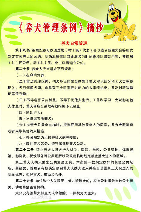 深度解读：最新严狗令下的宠物饲养规范与未来趋势