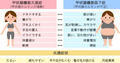 最新查甲状腺健康指南：检查方法、解读报告及未来趋势