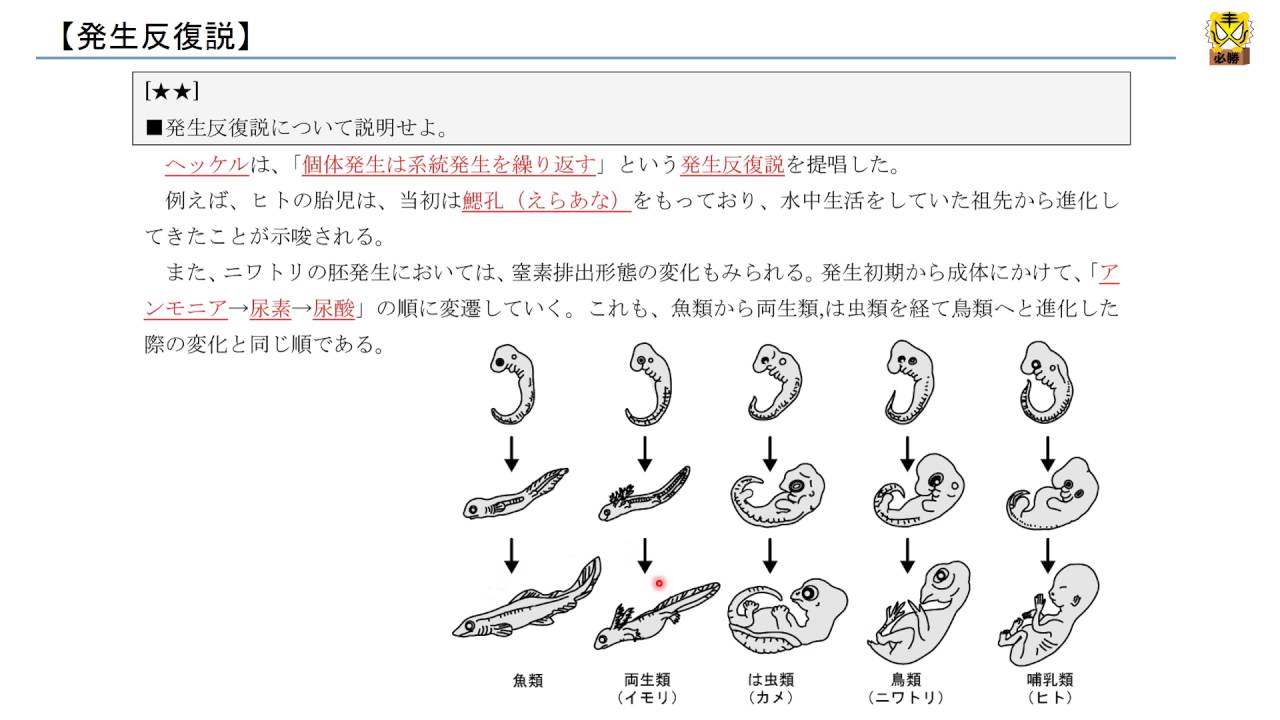 萧山疫情最新动态：防控措施、社会影响及未来展望