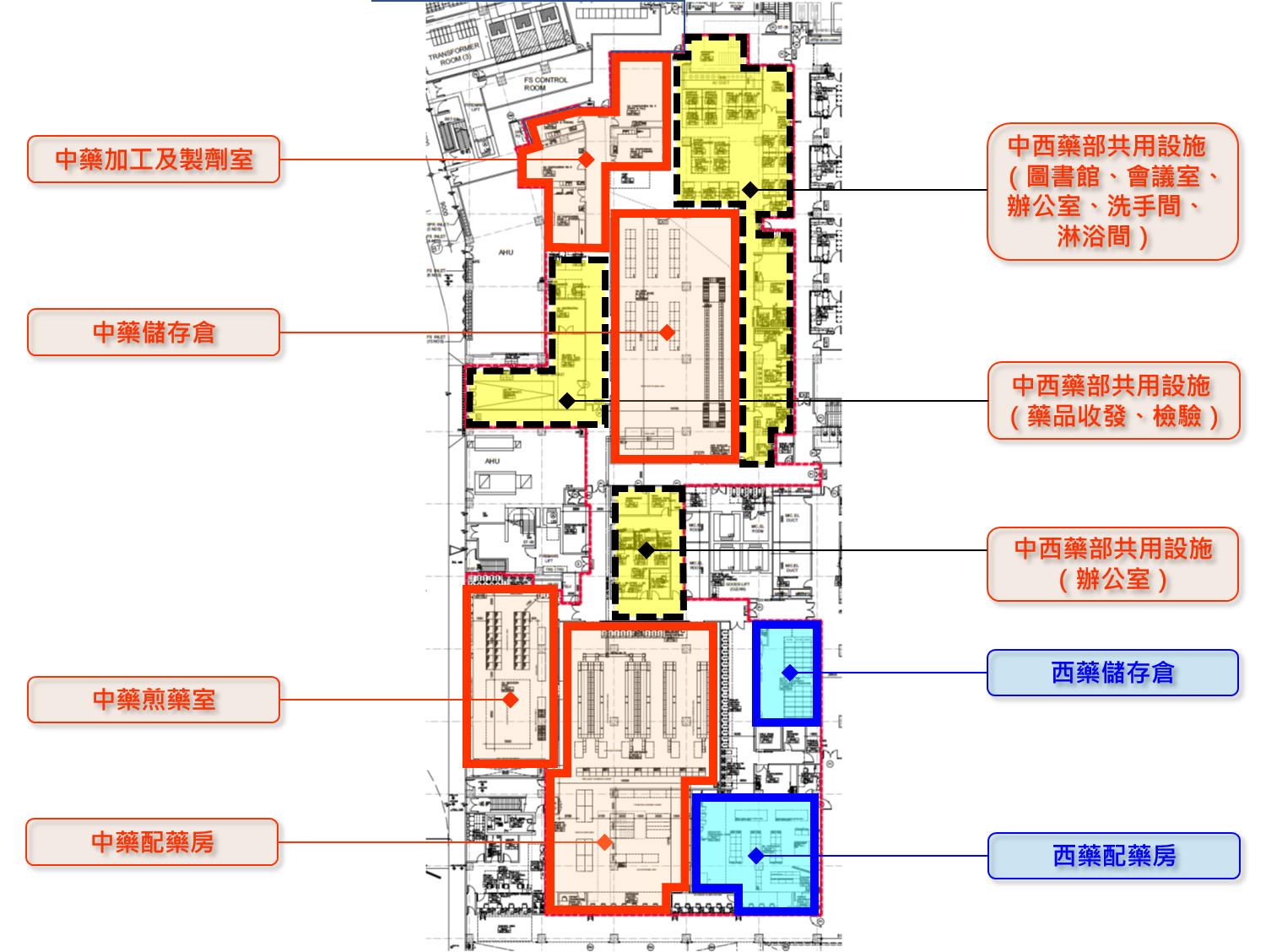 调查最新药房名称：分析当今药房运营动态和战略