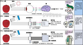 比色最新技术：微流控芯片比色法及未来发展趋势