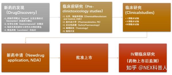 病毒最新分布：全球疫情动态及未来趋势预测