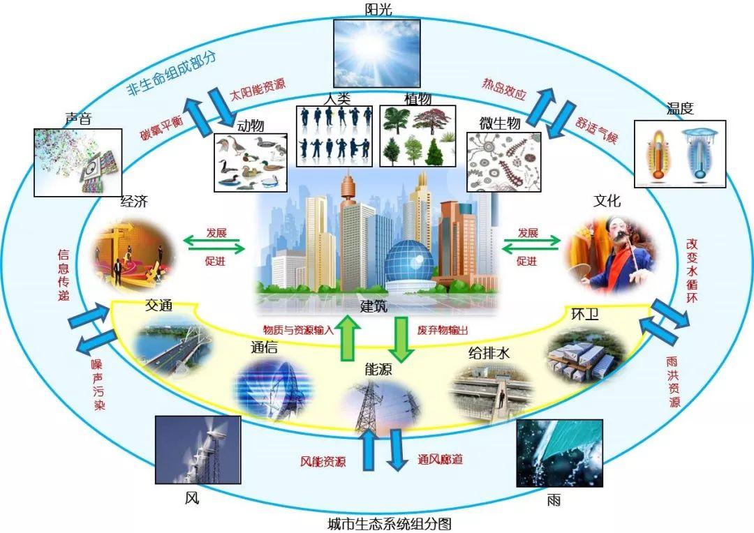 美国选民最新投票：中期选举结果解读及未来政治走向