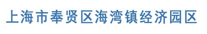 奉贤海湾最新规划：打造上海南部沿海新地标的蓝图与挑战