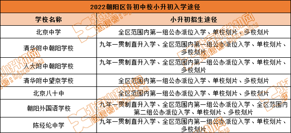 十九中最新动态：政策解读、发展趋势及未来展望