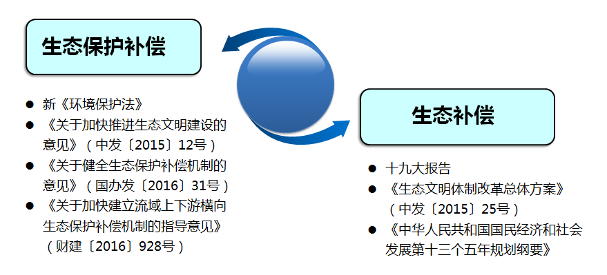 狼最新更新：生态变化、种群动态及保护策略的深度解读