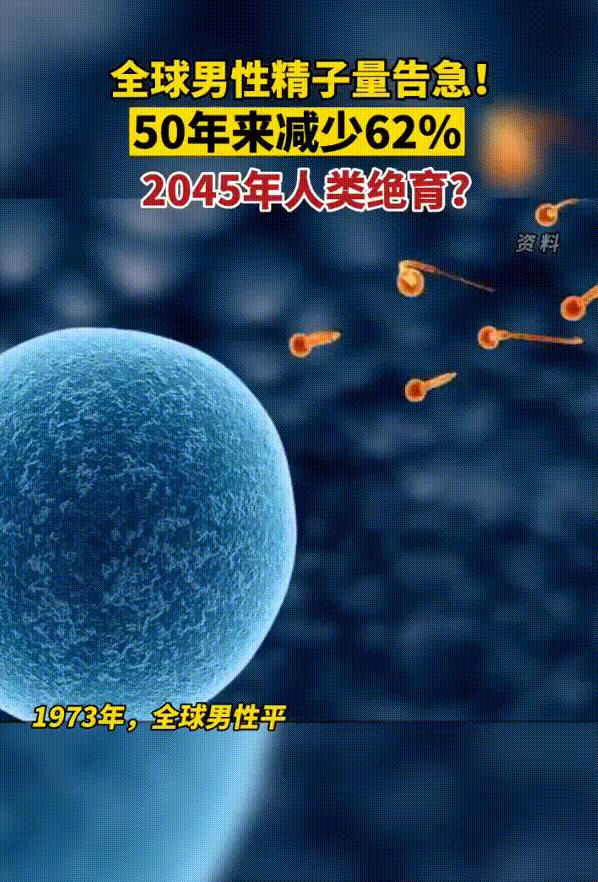 精子网最新网：深入解析其现状、挑战与未来发展趋势