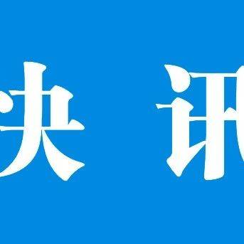 猪肉最新猪价深度解析：市场行情、价格波动及未来走势预测