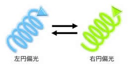 解码2024：最新成团女团的崛起、挑战与未来趋势