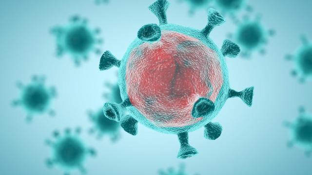 红网最新疫情播报：湖南省疫情防控政策解读及未来展望