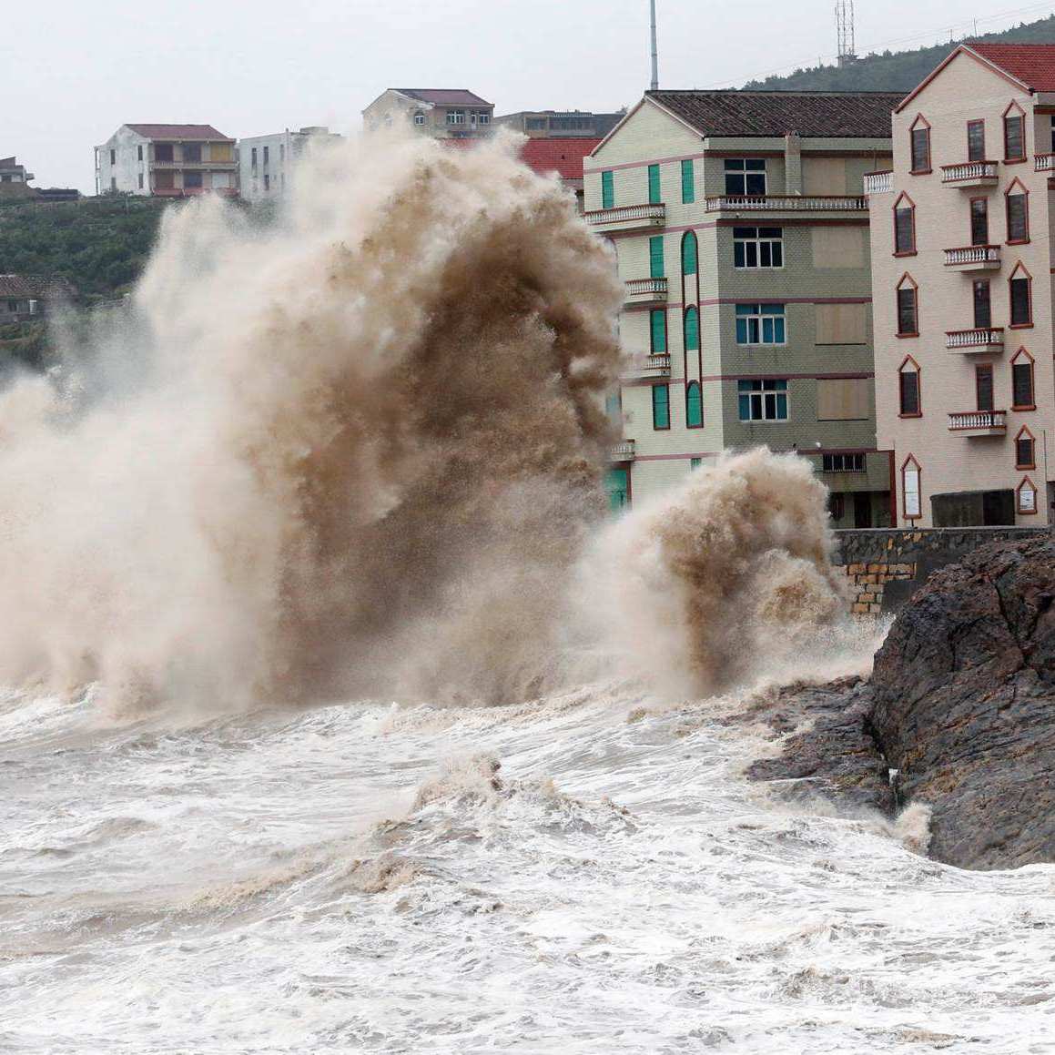 台风鹦鹉最新报道：风雨过后，我们该如何反思与重建？