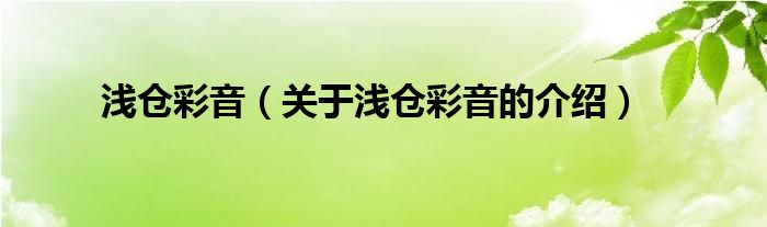 浅仓彩音最新作品封面赏析：从艺术角度解读封面设计背后的故事