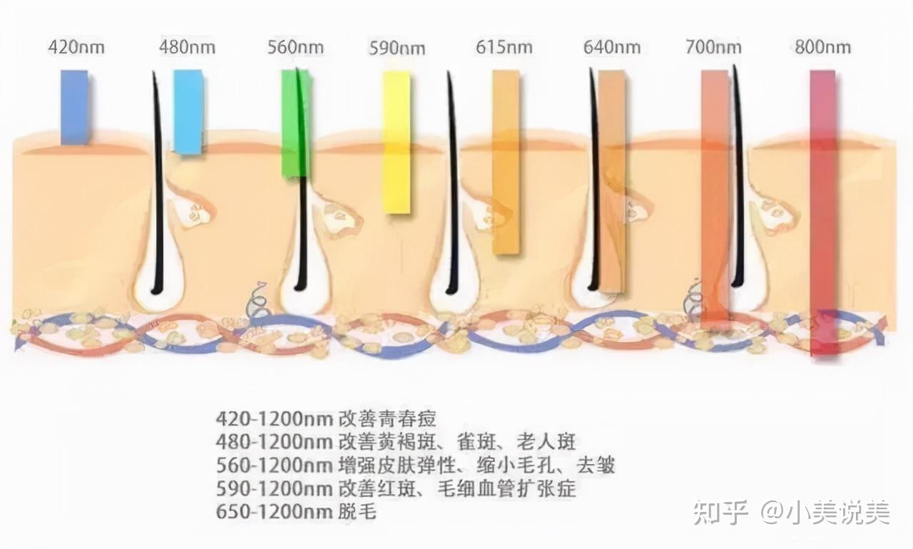 最新辩色斑研究：从成因机制到有效治疗方案的全面解读