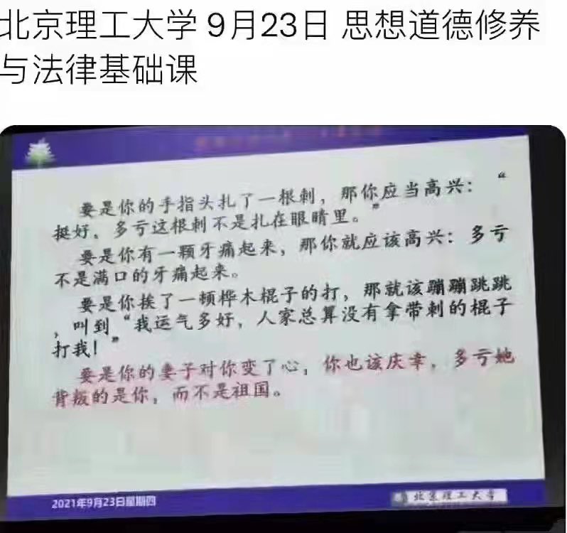 2023年最新热销网剧盘点：爆款背后的秘密与未来趋势