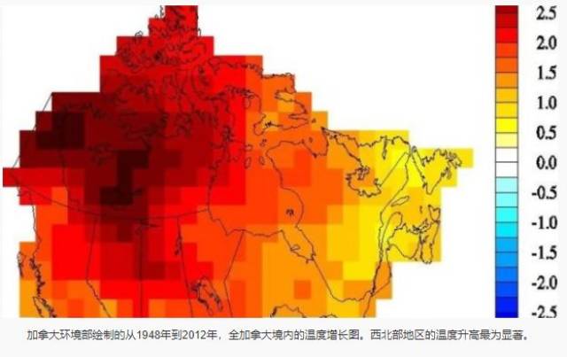 聚焦最新加拿大消息：经济、社会及环境挑战与机遇