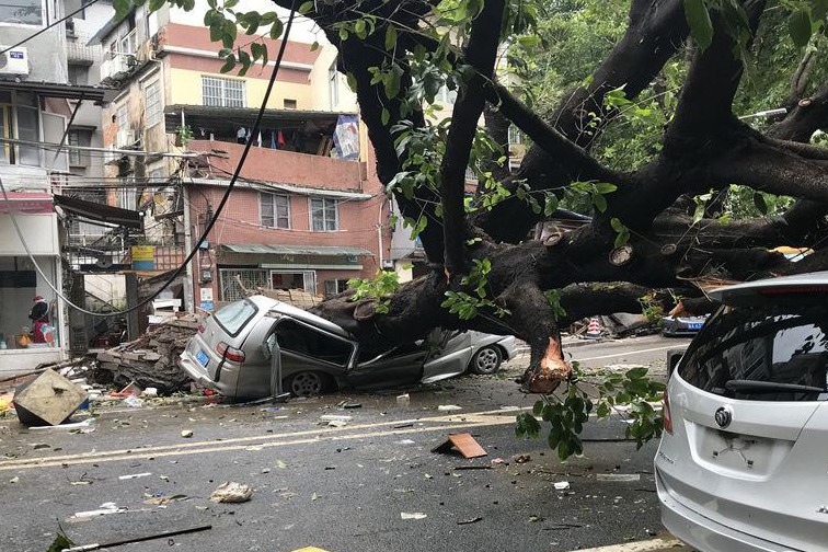 台风最新通知上海：风雨来袭，全城戒备，应对指南及未来展望