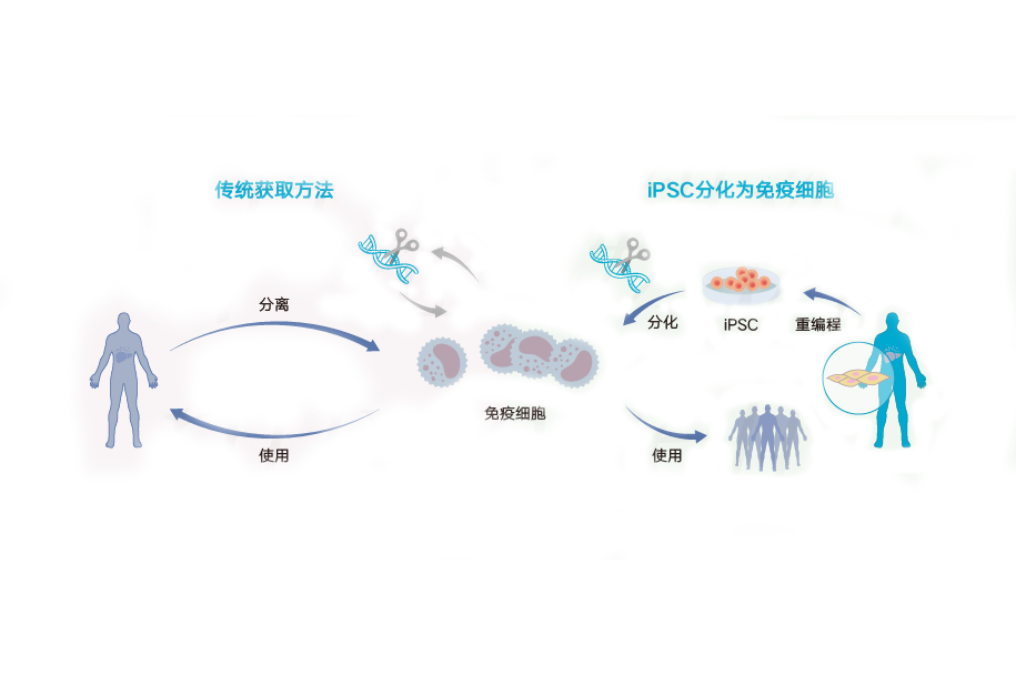 时光碎片 第21页