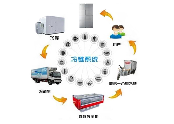 淘最新鲜的：探寻极致新鲜的消费体验与未来趋势