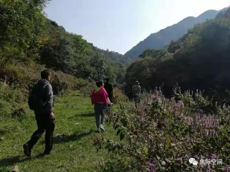 澞水最新新闻：城乡建设、经济发展以及民生社会最新趋势