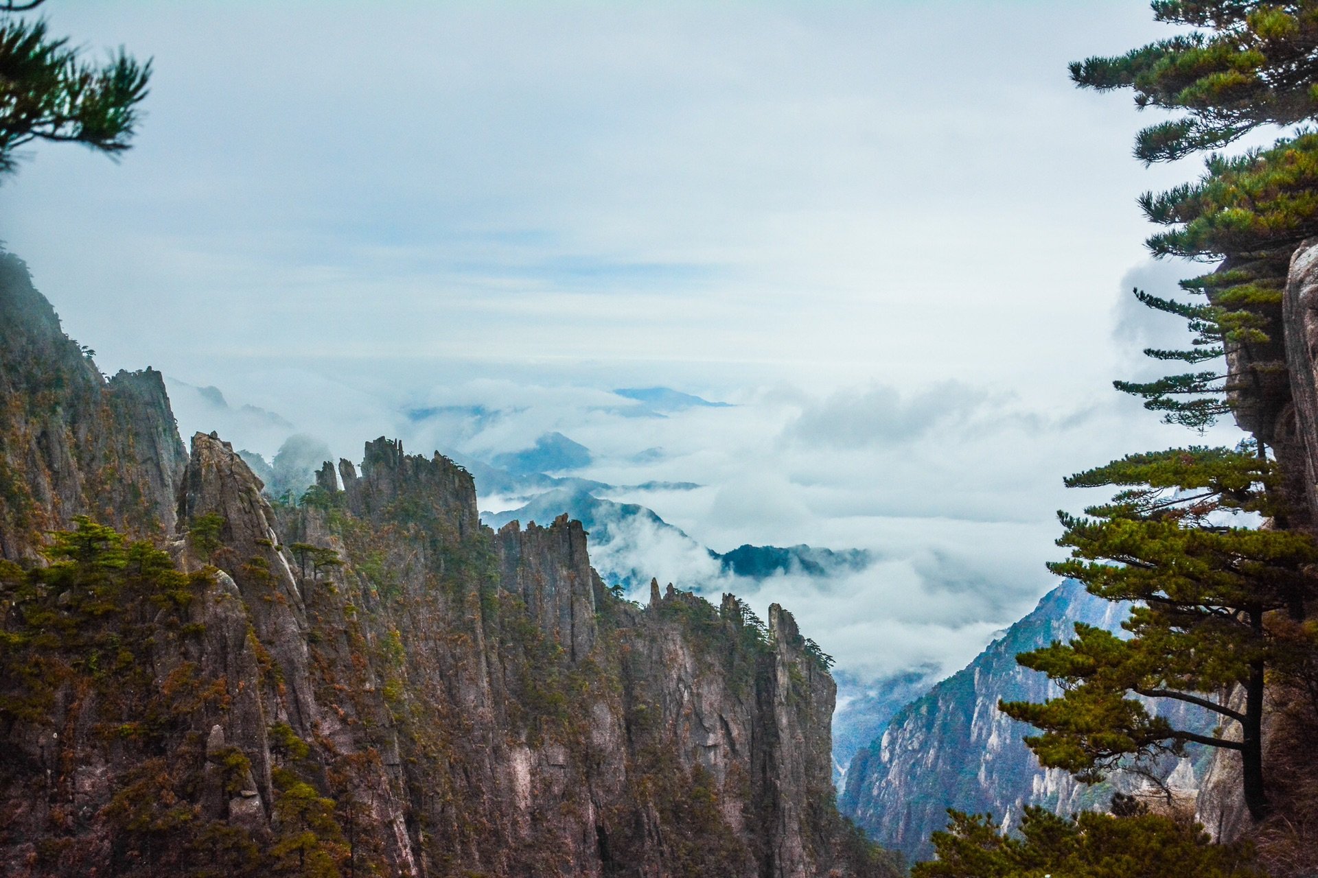 最新黄山游攻略：探秘奇松怪石，体验云海日出，解锁不一样的黄山之旅