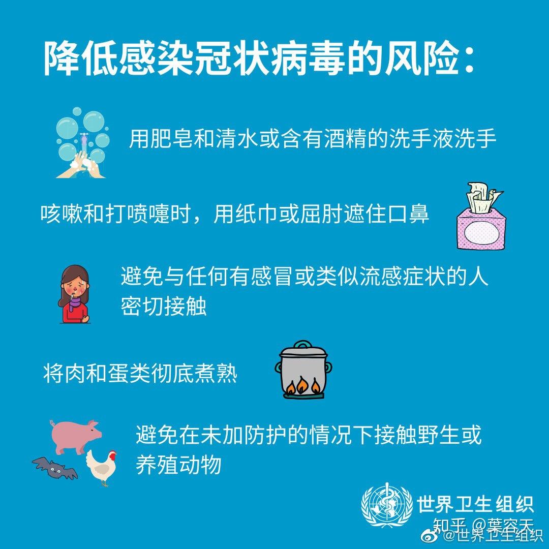 解读郧西最新病毒事件：传播途径、防控措施及未来挑战