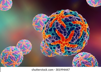 新曾病毒最新研究：病毒变异、传播途径及防控策略深度解读